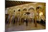 The Mezquita of Cordoba, Andalucia, Spain-Carlo Morucchio-Mounted Photographic Print