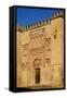 The Mezquita of Cordoba, Andalucia, Spain-Carlo Morucchio-Framed Stretched Canvas