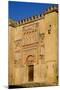 The Mezquita of Cordoba, Andalucia, Spain-Carlo Morucchio-Mounted Photographic Print