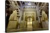 The Mezquita of Cordoba, Andalucia, Spain-Carlo Morucchio-Stretched Canvas