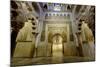 The Mezquita of Cordoba, Andalucia, Spain-Carlo Morucchio-Mounted Photographic Print