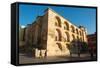 The Mezquita of Cordoba, Andalucia, Spain-Carlo Morucchio-Framed Stretched Canvas