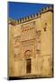The Mezquita of Cordoba, Andalucia, Spain-Carlo Morucchio-Mounted Photographic Print