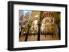 The Mezquita of Cordoba, Andalucia, Spain-Carlo Morucchio-Framed Photographic Print