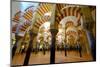 The Mezquita of Cordoba, Andalucia, Spain-Carlo Morucchio-Mounted Photographic Print