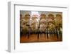 The Mezquita of Cordoba, Andalucia, Spain-Carlo Morucchio-Framed Photographic Print