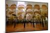 The Mezquita of Cordoba, Andalucia, Spain-Carlo Morucchio-Mounted Photographic Print