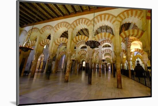 The Mezquita of Cordoba, Andalucia, Spain-Carlo Morucchio-Mounted Photographic Print