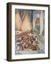 The Mice in the Council from 'Aesop's Fables'-John Edwin Noble-Framed Giclee Print