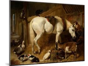 The Midday Meal, 1850-John Frederick Herring I-Mounted Giclee Print