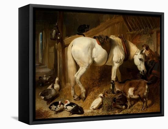 The Midday Meal, 1850-John Frederick Herring I-Framed Stretched Canvas
