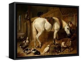 The Midday Meal, 1850-John Frederick Herring I-Framed Stretched Canvas