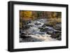 The Middle Branch of the Escanaba River Rapids in autumn, Palmer, Michigan USA-Chuck Haney-Framed Photographic Print