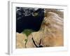 The Middle East-Stocktrek Images-Framed Photographic Print