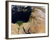 The Middle East-Stocktrek Images-Framed Photographic Print