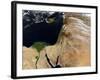 The Middle East-Stocktrek Images-Framed Photographic Print