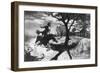 The Midnight Ride of Paul Revere by Percy Reeves-null-Framed Giclee Print