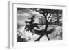 The Midnight Ride of Paul Revere by Percy Reeves-null-Framed Giclee Print