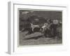 The Midnight Steeplechase Near Melton Mowbray, the Finish-null-Framed Giclee Print