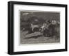 The Midnight Steeplechase Near Melton Mowbray, the Finish-null-Framed Giclee Print