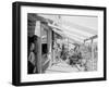 The Midway, Petoskey, Mich.-null-Framed Photo