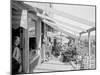 The Midway, Petoskey, Mich.-null-Mounted Photo