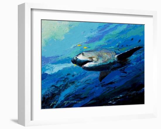 The Mighty Bull Shark-Jace D. McTier-Framed Giclee Print