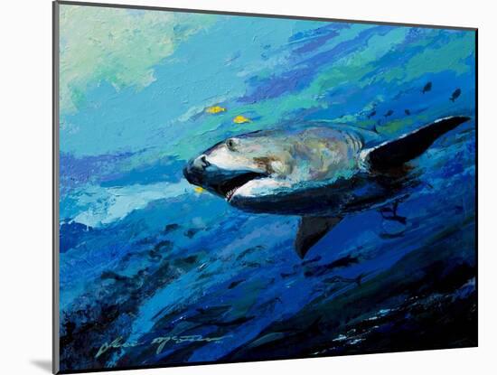 The Mighty Bull Shark-Jace D. McTier-Mounted Giclee Print