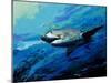 The Mighty Bull Shark-Jace D. McTier-Mounted Giclee Print
