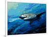 The Mighty Bull Shark-Jace D. McTier-Framed Giclee Print