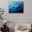 The Mighty Bull Shark-Jace D. McTier-Mounted Giclee Print displayed on a wall