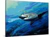 The Mighty Bull Shark-Jace D. McTier-Stretched Canvas