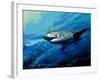 The Mighty Bull Shark-Jace D. McTier-Framed Giclee Print