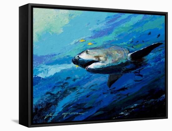 The Mighty Bull Shark-Jace D. McTier-Framed Stretched Canvas