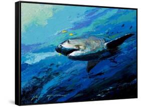 The Mighty Bull Shark-Jace D. McTier-Framed Stretched Canvas