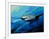 The Mighty Bull Shark-Jace D. McTier-Framed Giclee Print