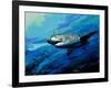 The Mighty Bull Shark-Jace D. McTier-Framed Giclee Print