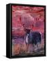 The Mighty Moose Mongoose Reindeer Elk Rentier Car-Markus Bleichner-Framed Stretched Canvas