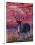 The Mighty Moose Mongoose Reindeer Elk Rentier Car-Markus Bleichner-Framed Art Print