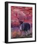 The Mighty Moose Mongoose Reindeer Elk Rentier Car-Markus Bleichner-Framed Art Print