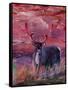The Mighty Moose Mongoose Reindeer Elk Rentier Car-Markus Bleichner-Framed Stretched Canvas