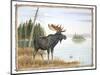 The Mighty Moose-Ron Jenkins-Mounted Art Print
