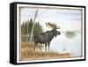 The Mighty Moose-Ron Jenkins-Framed Stretched Canvas