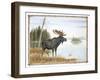 The Mighty Moose-Ron Jenkins-Framed Art Print