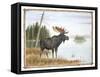 The Mighty Moose-Ron Jenkins-Framed Stretched Canvas