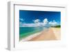 The miles long Pinney's Beach fronting the Caribbean Sea. Nevis, West Indies.-Sergio Pitamitz-Framed Photographic Print