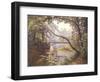 The Milieu Bridge in the Forest-Henri Biva-Framed Giclee Print