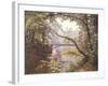 The Milieu Bridge in the Forest-Henri Biva-Framed Giclee Print