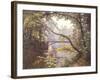 The Milieu Bridge in the Forest-Henri Biva-Framed Giclee Print