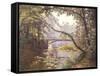 The Milieu Bridge in the Forest-Henri Biva-Framed Stretched Canvas